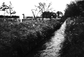 戦後まもない頃の玉川上水の写真