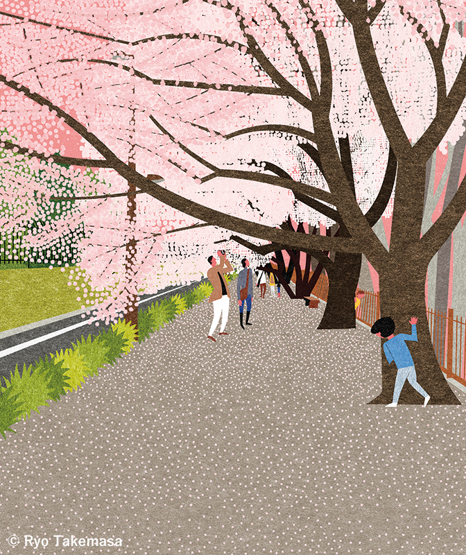 玉川上水沿い(桜通り、境浄水場付近)
