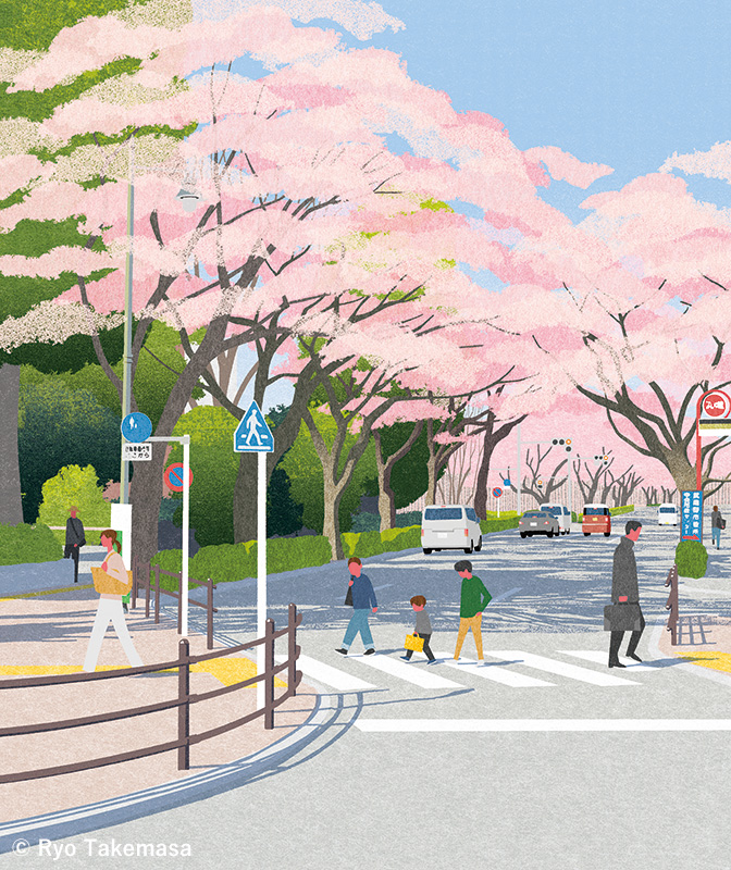 桜通り(中町1-14)