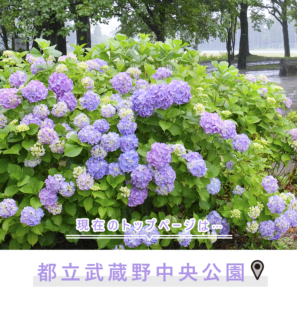現在のトップページは…都立武蔵野中央公園