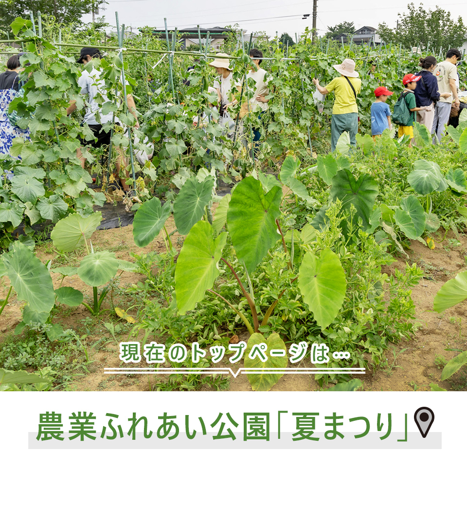 現在のトップページは…農業ふれあい公園「夏まつり」