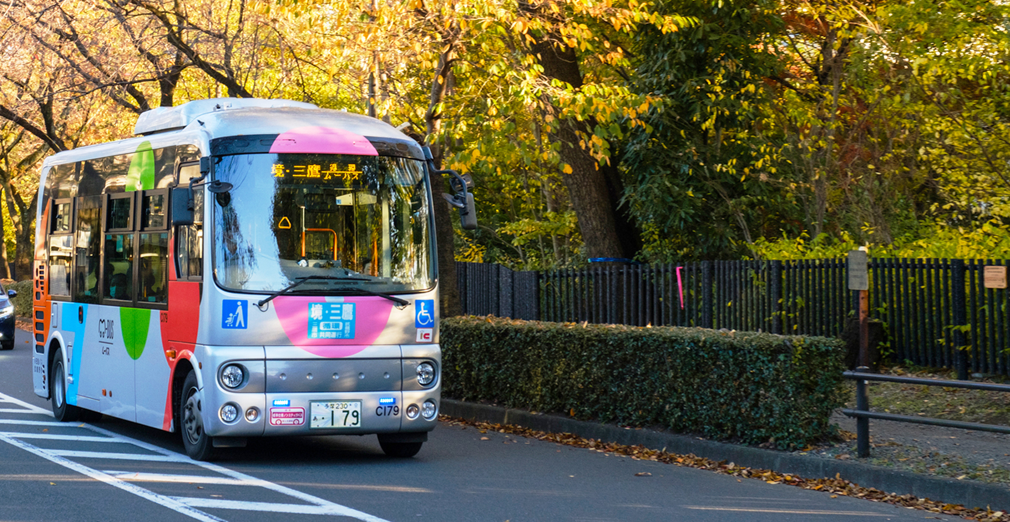 写真：紅葉している木々と車道を走るムーバスの様子