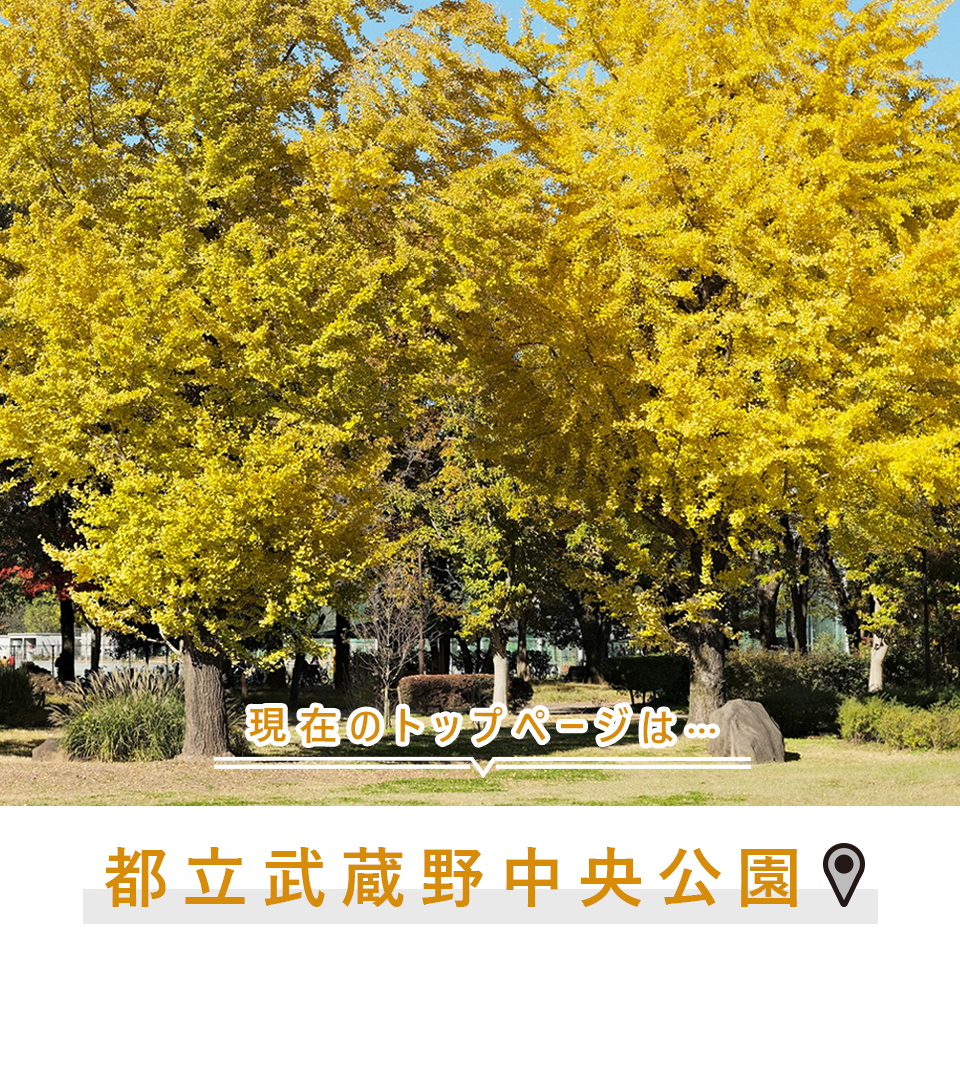 現在のトップページは…都立武蔵野中央公園