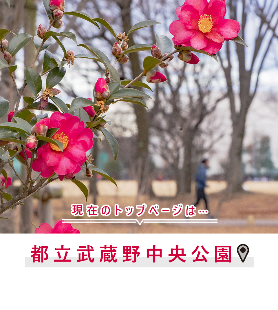 現在のトップページは…都立武蔵野中央公園