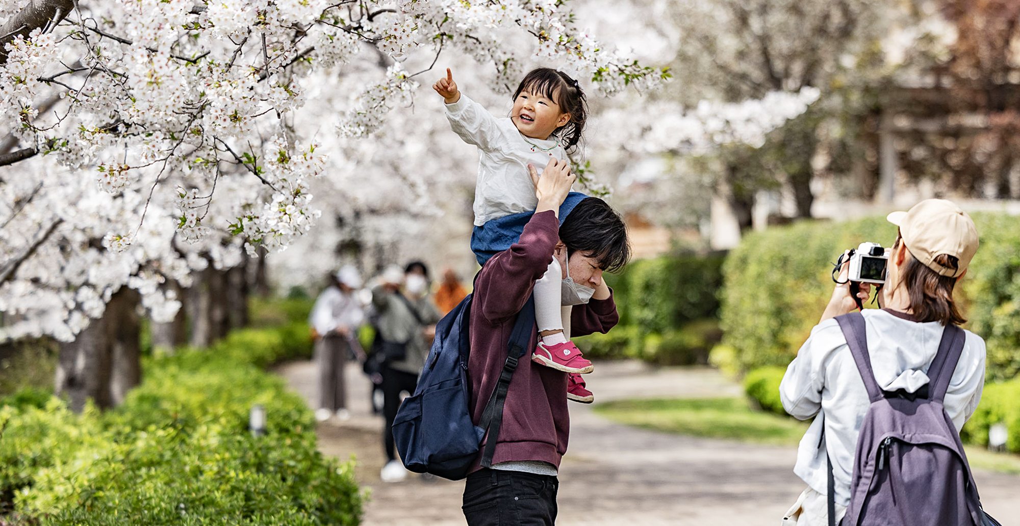 写真：桜堤遊歩道周辺の桜の木の下で写真を撮る親子