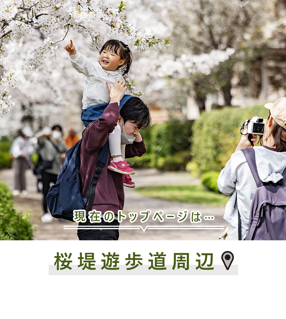 現在のトップページは…桜堤遊歩道周辺