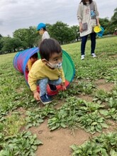 トンネルくぐりの写真