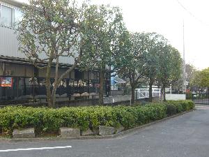 写真1