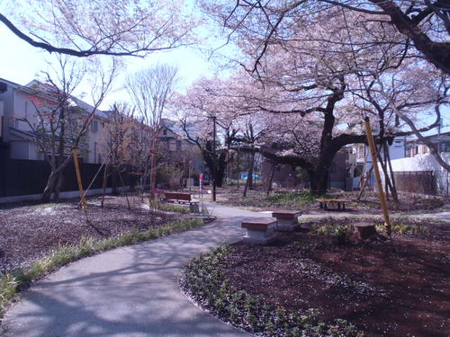 吉祥寺北緑地の様子の写真