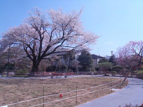 はなもみじ公園の様子の写真