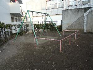 写真1