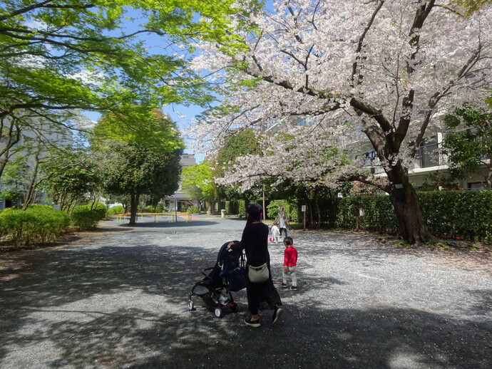 もくせい公園の様子の写真