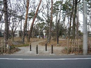 野鳥の森公園の様子の写真