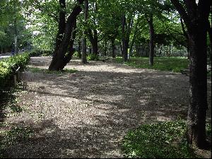 西久保公園の様子の写真