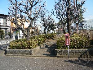 えのき公園の様子の写真