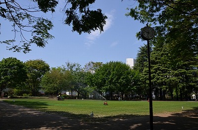 むさしの市民公園の様子の写真