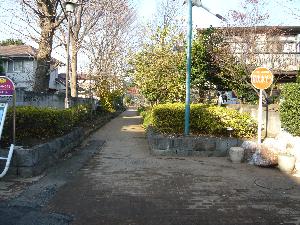 グリーンパーク緑地（八幡町）の写真