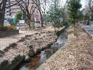 千川上水遊歩道の様子の写真