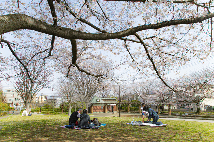 関前公園の写真1