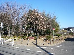 市民の森公園の写真