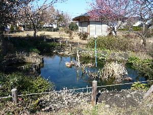 市民の森公園の写真