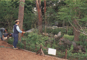 木の花小路公園の写真