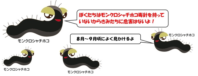 モンクロシャチホコのイラスト：ぼくたちはモンクロシャチホコ毒針を持っていないからきみたちに危害はないよ！8月から9月ごろによく見かけるよ