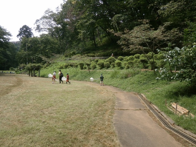 永山公園（青梅市）での自然観察体験