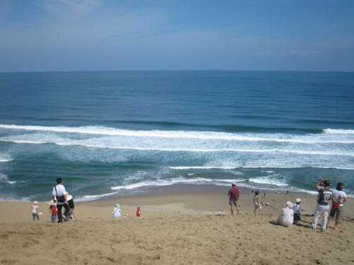 参加者が日本海を眺めている写真
