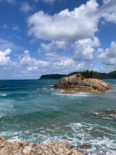 参加者が見ることのできる海
