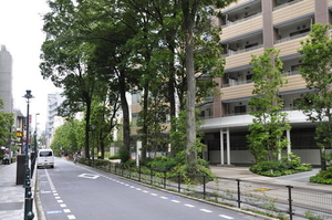 武蔵野市内のまちの風景写真