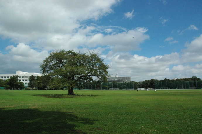 武蔵野中央公園の写真