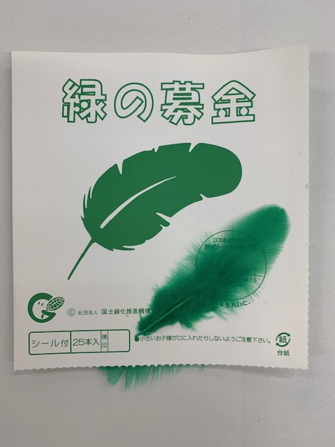 緑の羽根の写真