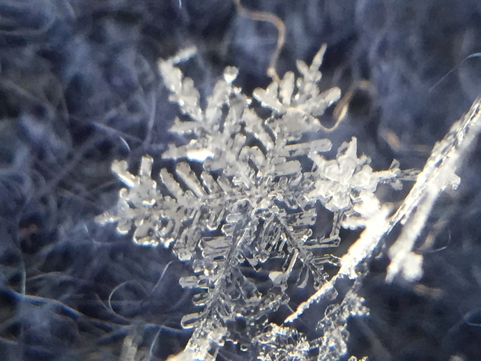 雪結晶で撮影した写真。