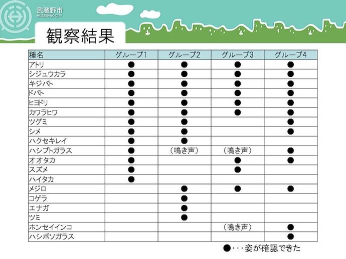 アトリ、シジュウカラ、キジバト、ドバト、ヒヨドリ、カワラヒワ、ツグミ、シメ、ハクセキレイ、ハシブトガラス、オオタカ、スズメ、ハイタカ、メジロ、コゲラ、エナガ、ツミ、ホンセイインコ、ハシボソガラス