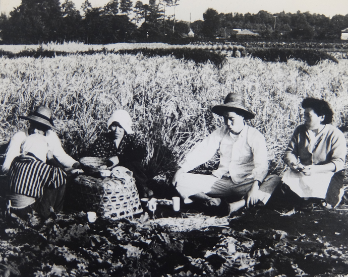 昭和30年頃の武蔵野市域を撮影した写真