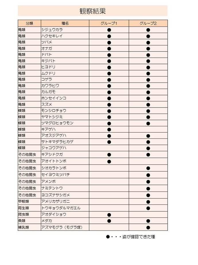 観察結果：アトリ、シジュウカラ、キジバト、ドバト、ヒヨドリ、カワラヒワ、ツグミ、シメ、ハクセキレイ、ハシブトガラス、オオタカ、スズメ、ハイタカ、メジロ、コゲラ、エナガ、ツミ、ホンセイインコ、ハシボソガラスを確認