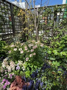 吉祥寺の街歩き 写真：コピス吉祥寺屋上ガーデンの様子