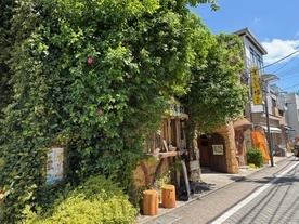 吉祥寺の街歩き 写真：まちの景色