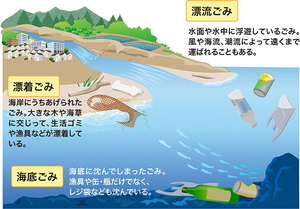 海洋プラスチックが分解されず残留する。