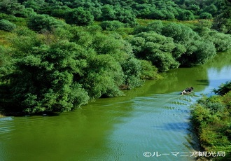 ドナウ川の写真