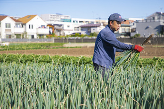 写真：直売所