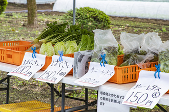 名古屋さんの農園の写真3