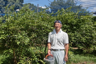 中村さんの農園の写真1