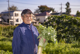 写真：農産物