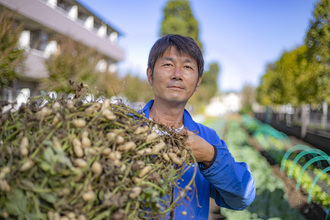 松本さんの農産物の写真1