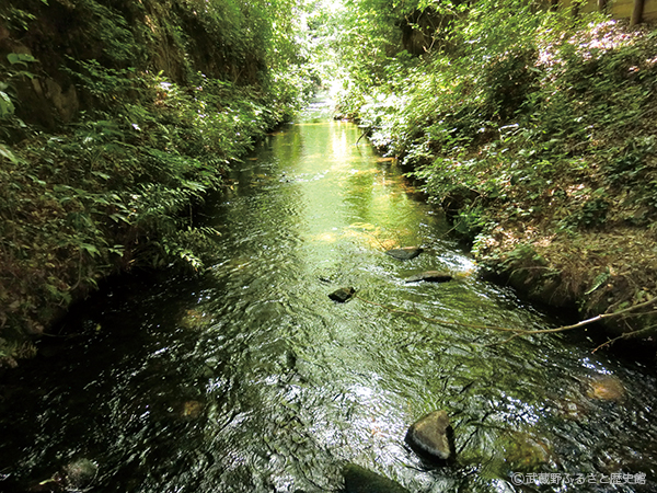 玉川上水の写真
