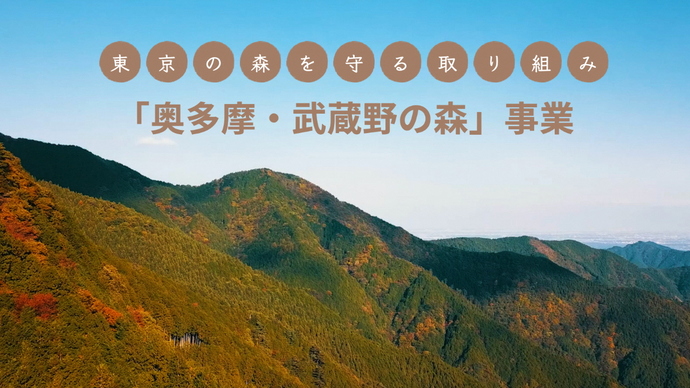 【東京の森を守る取り組み】「奥多摩・武蔵野の森」事業