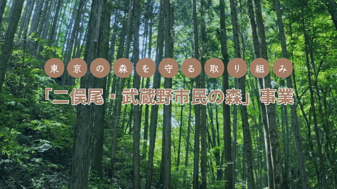 【東京の森を守る取り組み】「二俣尾・武蔵野市民の森」事業