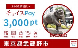 ふるさと納税払い チョイスPay 3000ポイント